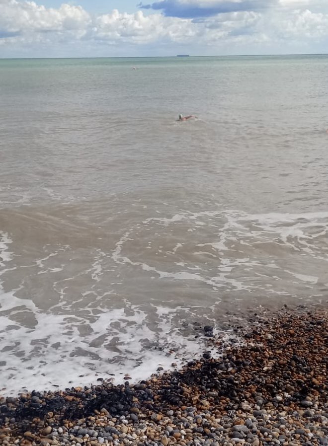 Sandra🧜🏻‍♀️🌊livelifelikeanocean🌊🐋 tweet media