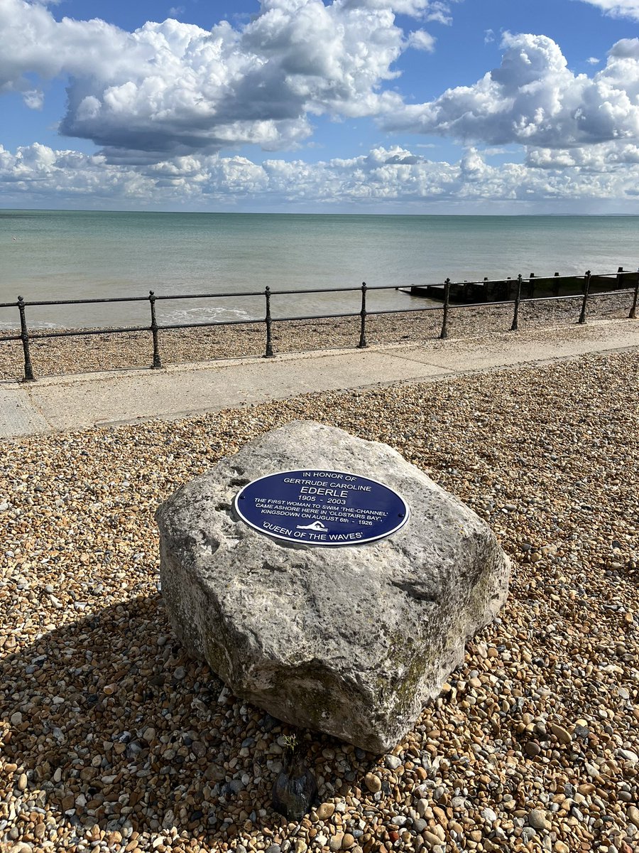 Sandra🧜🏻‍♀️🌊livelifelikeanocean🌊🐋 tweet media