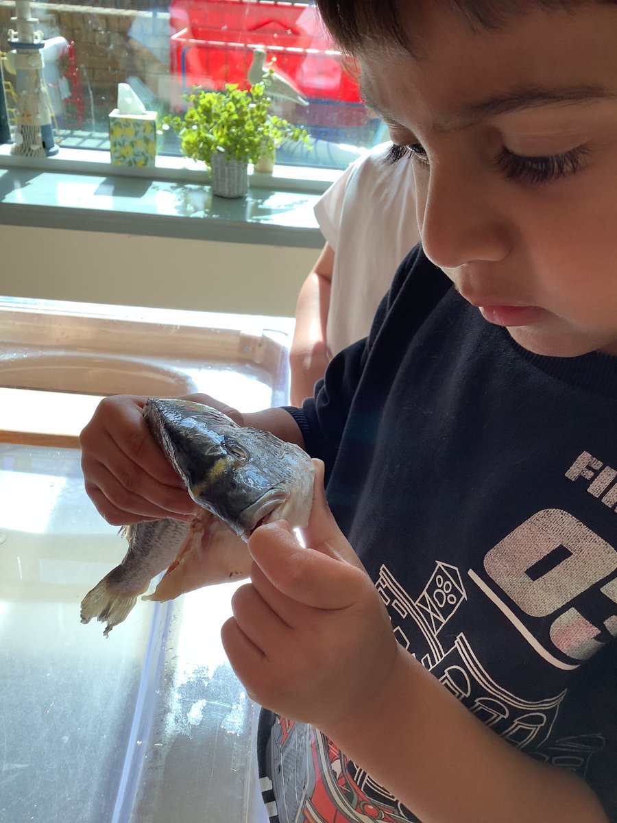 Quarry Brae Primary and Nursery Class tweet media