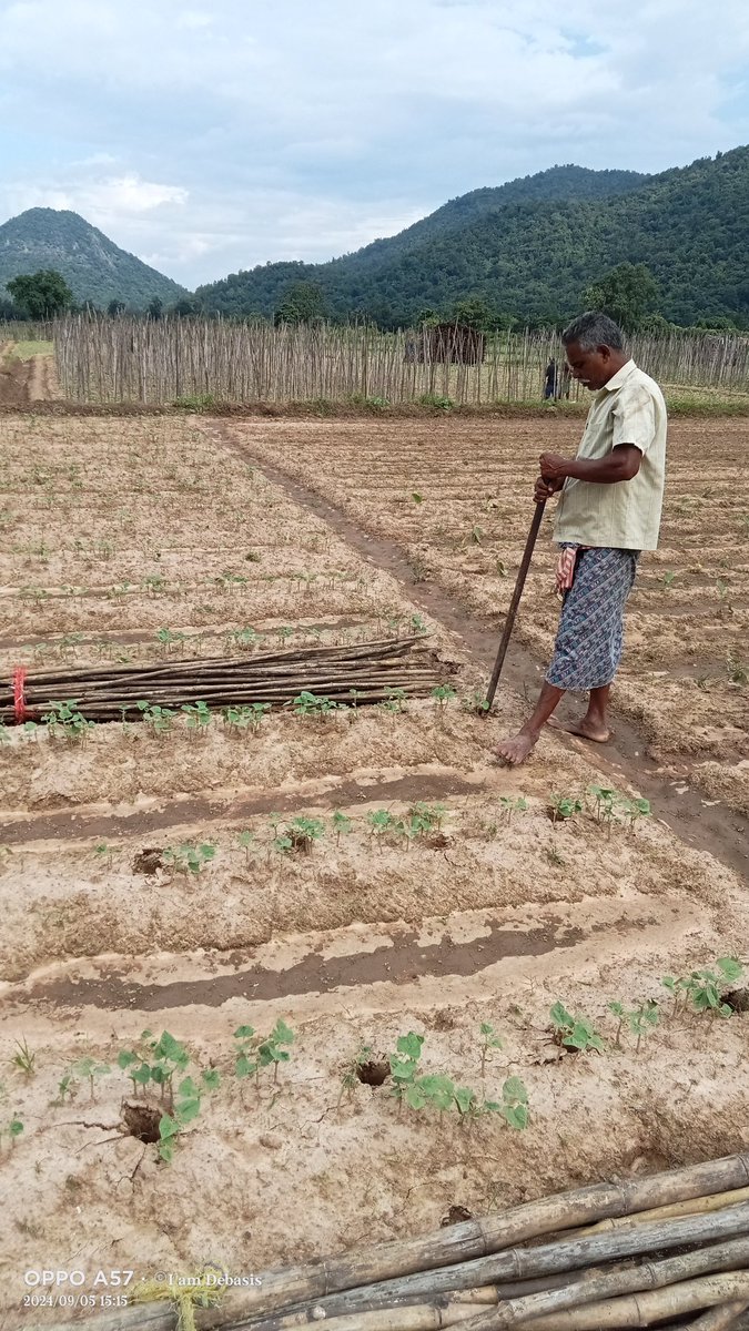 271Debasis's tweet image. The Farmer କୃଷକ ଗୋଟେ ଏମିତି ଶବ୍ଦ ପ୍ରତ୍ୟେକ ମଣିଷ ଉତ୍ସାର ସହ କହି ପାରିବ ସାରା ପୃଥିୀପୃଷ୍ଟରେ ଏକମାତ୍ର ବନ୍ଧୁ କୃଷକ କୃଷି କୁ ସନମନ୍ ଦେଶ ଉନ୍ନତି ଜୟ ଜଗନ୍ନାଥ ଜୟ କୃଷକ ଜୟ ଯବାନ