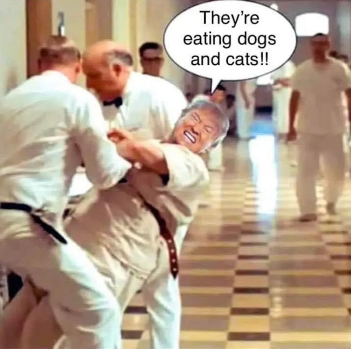 Memes like this are going to dog Trump until Election Day. 🤣