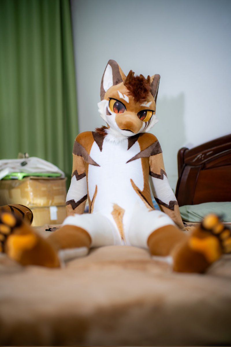 没拍新的，发点以前的吧🙏🏻
#FursuitFriday