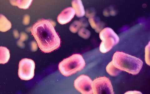 Pandemic Sciences Institute (@psioxford) on Twitter photo PSI's Pandemic PACT programme has launched a vital resource for tracking and understanding research on new or re-emerging global health threats, including #mpox and #H5N1.
Visit the Pandemic PACT website to learn more 👇
pandemicpact.org/outbreaks PSI's Pandemic PACT programme has launched a vital resource for tracking and understanding research on new or re-emerging global health threats, including #mpox and #H5N1.
Visit the Pandemic PACT website to learn more 👇
pandemicpact.org/outbreaks