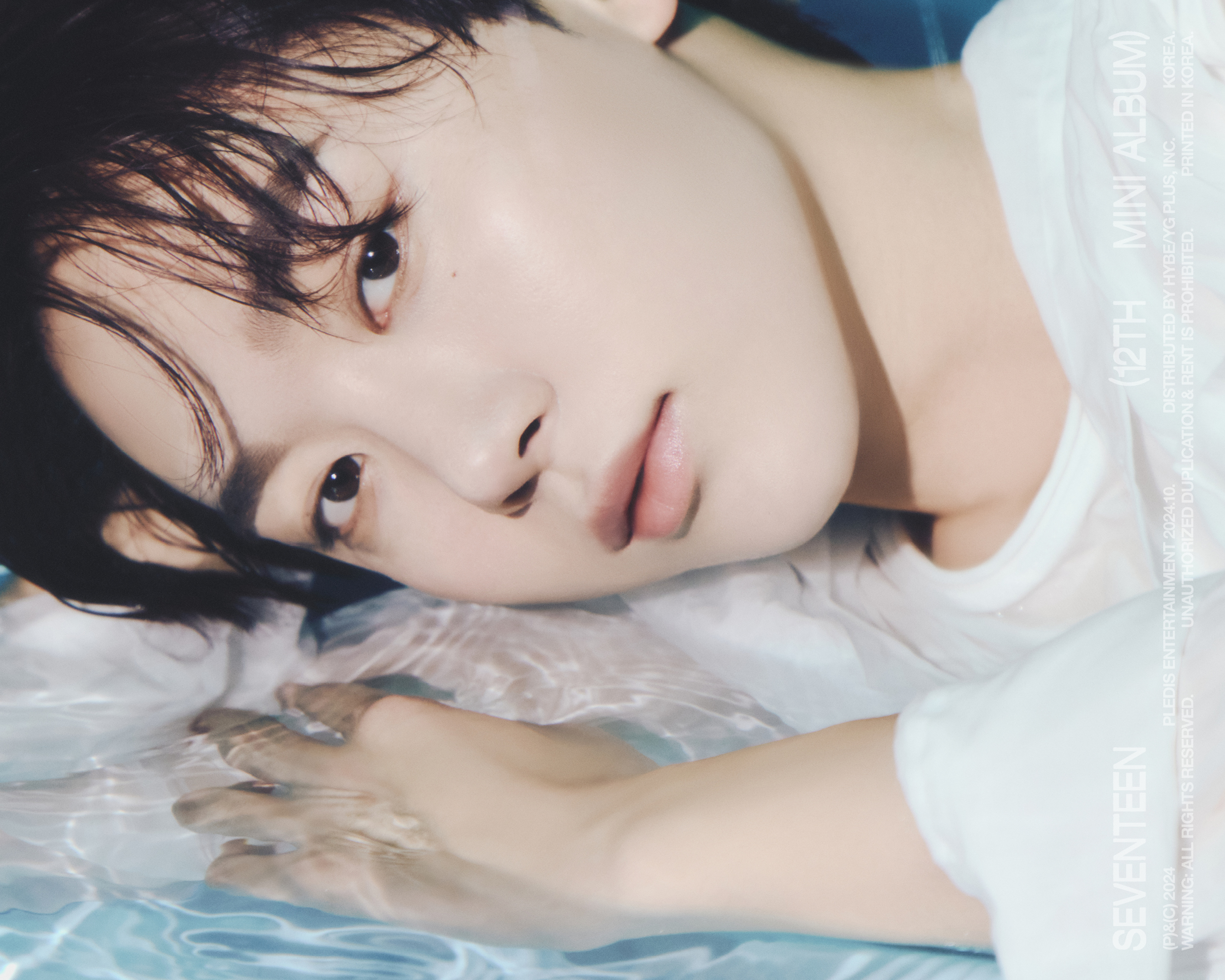 세븐틴(SEVENTEEN) on X: 