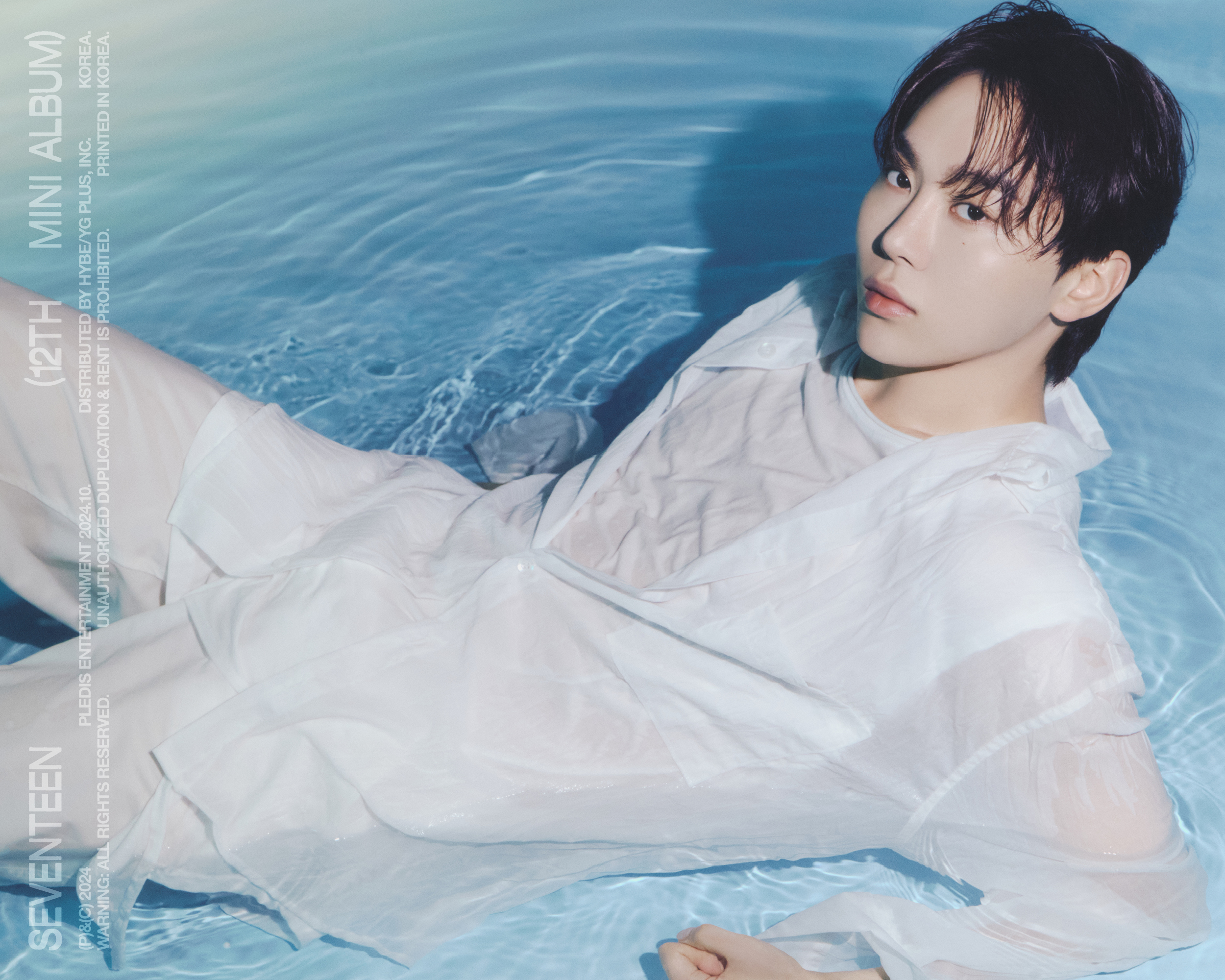 세븐틴(SEVENTEEN) on X: 