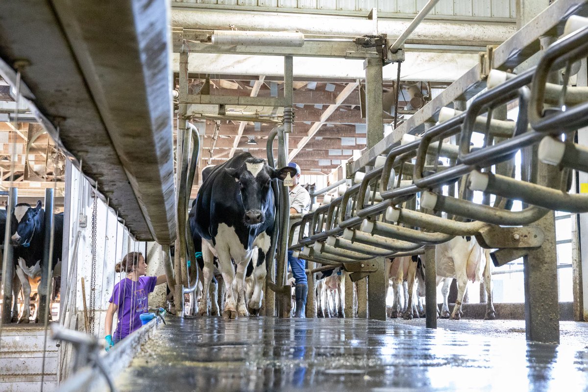 Iowa Dairy Industry Doubleheader Set for Nov. 1-2 dlvr.it/TDBr9Z