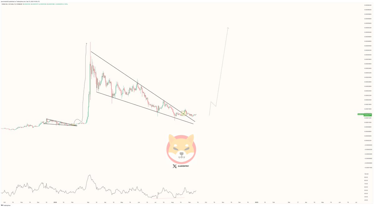 SHIB 🚀🚀🚀 According to crypto analyst Javon Marks, #SHIB is on its way to  another major breakout after the current consolidation. The analyst sees  the meme coin surging to $0.000081 and then