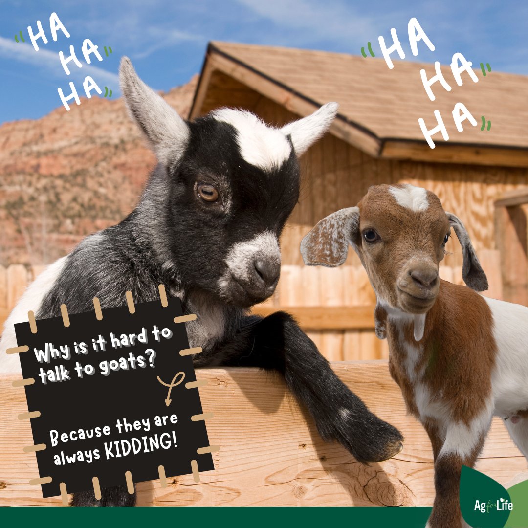 4AgForLife's tweet photo. #farmfunny #friday ๐คฃ https://t.co/Zm5Sq0RkYp