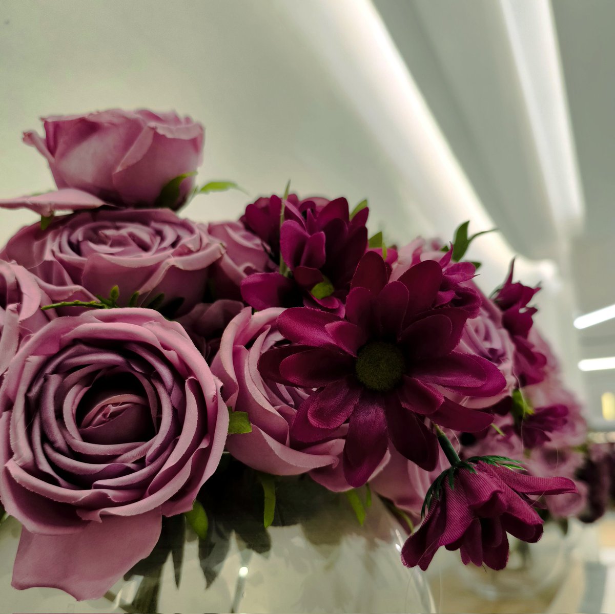 ~Burcu~ (@thepolyanna) on Twitter photo 