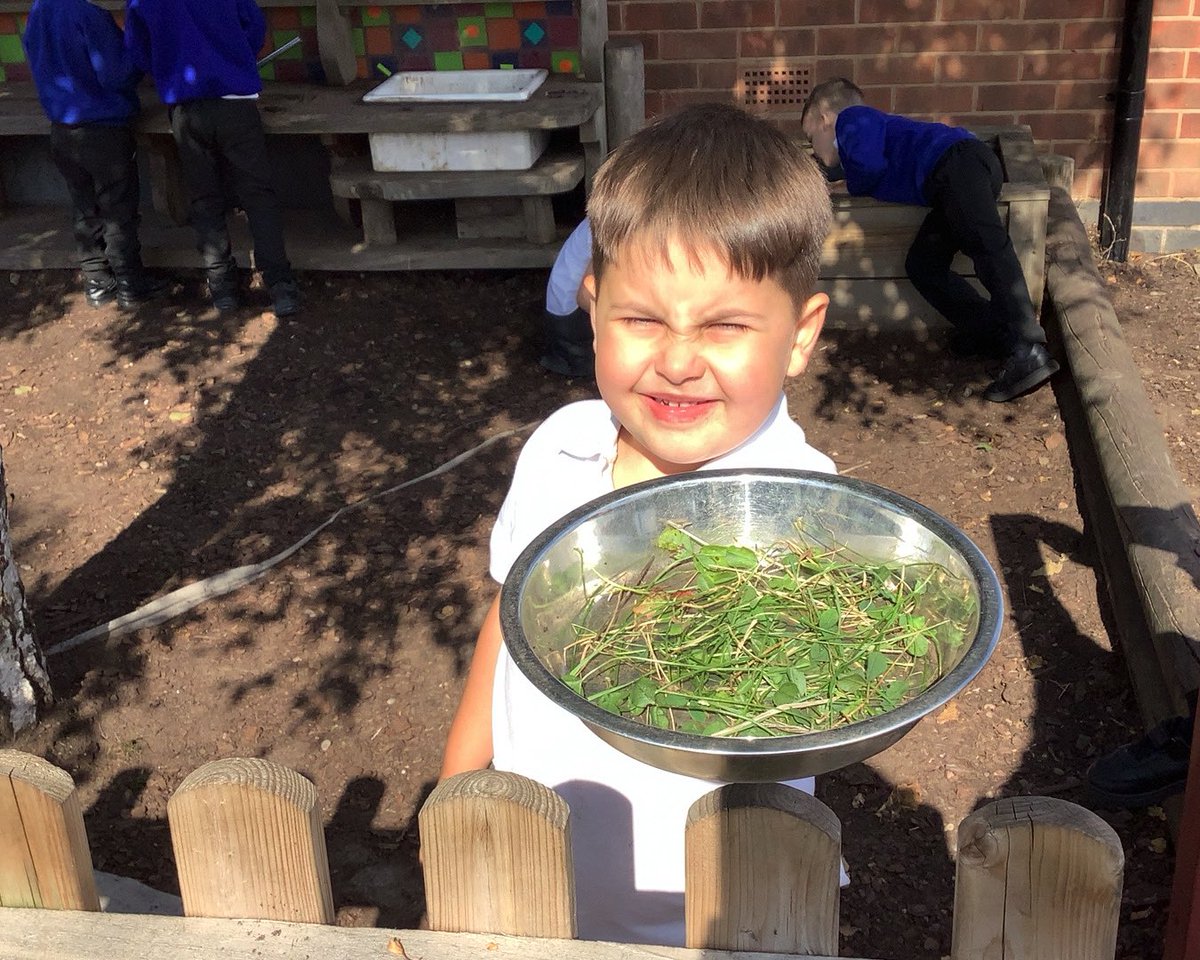 The children in Reception have been exploring our forest school area. They have been using their communication and language skills to create games and be imaginative around the fire pit. <a href="/satrust_/">Spencer Academies Trust</a> <a href="/ashwood_spencer/">Ashwood Spencer Academy</a>