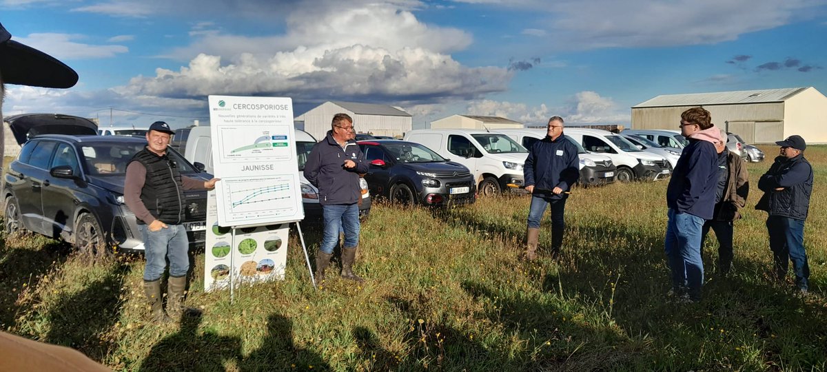 [Visite d'essais] à Aufferville, 40 planteurs 🧑‍🌾étaient présents !! De bons échanges techniques sur la cercosporiose et sur la jaunisse. L'occasion de présenter nos nouveautés en Fortes pression Rhizomanie 🌱.
