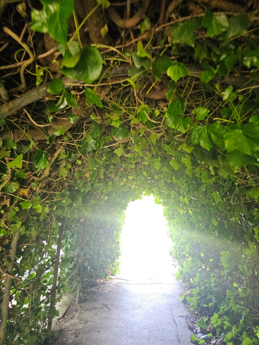 𝐨𝐯𝐞𝐫𝐥𝐚𝐲 𝘸𝘪𝘵𝘩 𝘮𝘰𝘰𝘯𝘣𝘪𝘯 tweet media