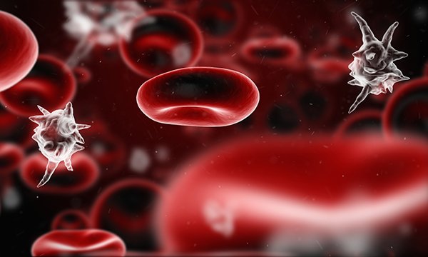 Sepsis diagnosis and care: the top 10 key questions that need answers

rcni.com/nursing-standa…