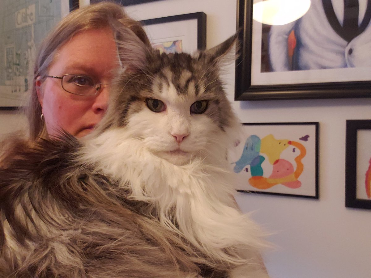 Seanan McGuire tweet media