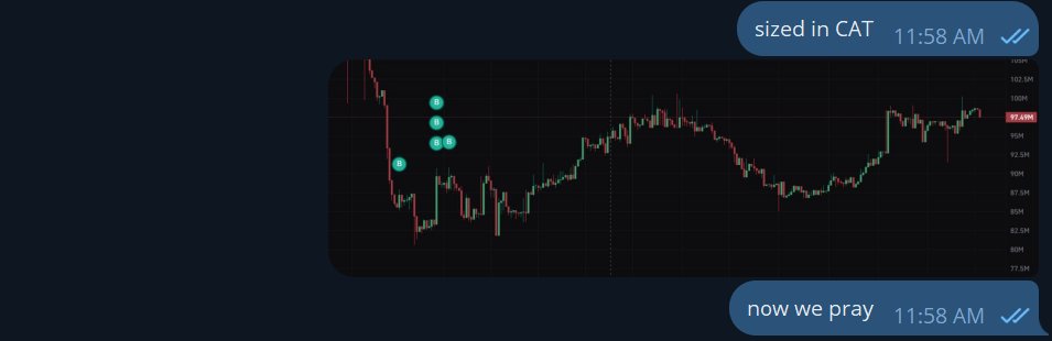 RowdyCrypto's tweet image. 3x on size on $CAT (+$1,000,000)

with CZ being released in two weeks, $BNB outperforming $SOL, and macro looking juicy

i think much higher, risk manage accordingly

i may not be the richest, the smartest, or the best sniper in @TroupeFTM 

but am proud to be called Chrollo🕷️💫