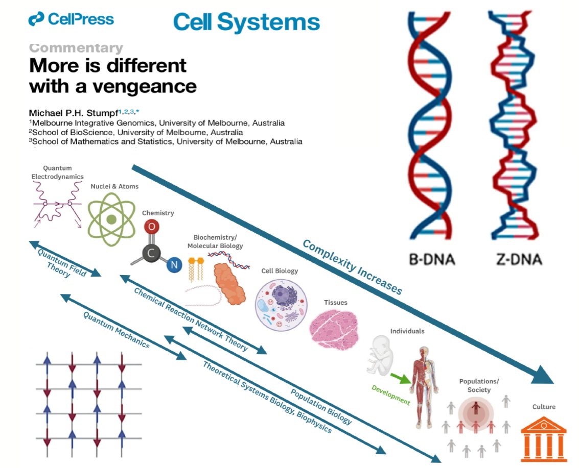 Ricard Solé (@ricard_sole) on Twitter photo What is the role of emergence and broken symmetries in biological complexity? Why is quantum mechanics not enough to explain biology? Check this paper by Michael Stumpf <a href="/theosysbio/">Michael P.H. Stumpf</a>, on the classic paper by <a href="/sfiscience/">Santa Fe Institute</a> Phil Anderson on "More is different" cell.com/action/showPdf… What is the role of emergence and broken symmetries in biological complexity? Why is quantum mechanics not enough to explain biology? Check this paper by Michael Stumpf <a href="/theosysbio/">Michael P.H. Stumpf</a>, on the classic paper by <a href="/sfiscience/">Santa Fe Institute</a> Phil Anderson on "More is different" cell.com/action/showPdf…