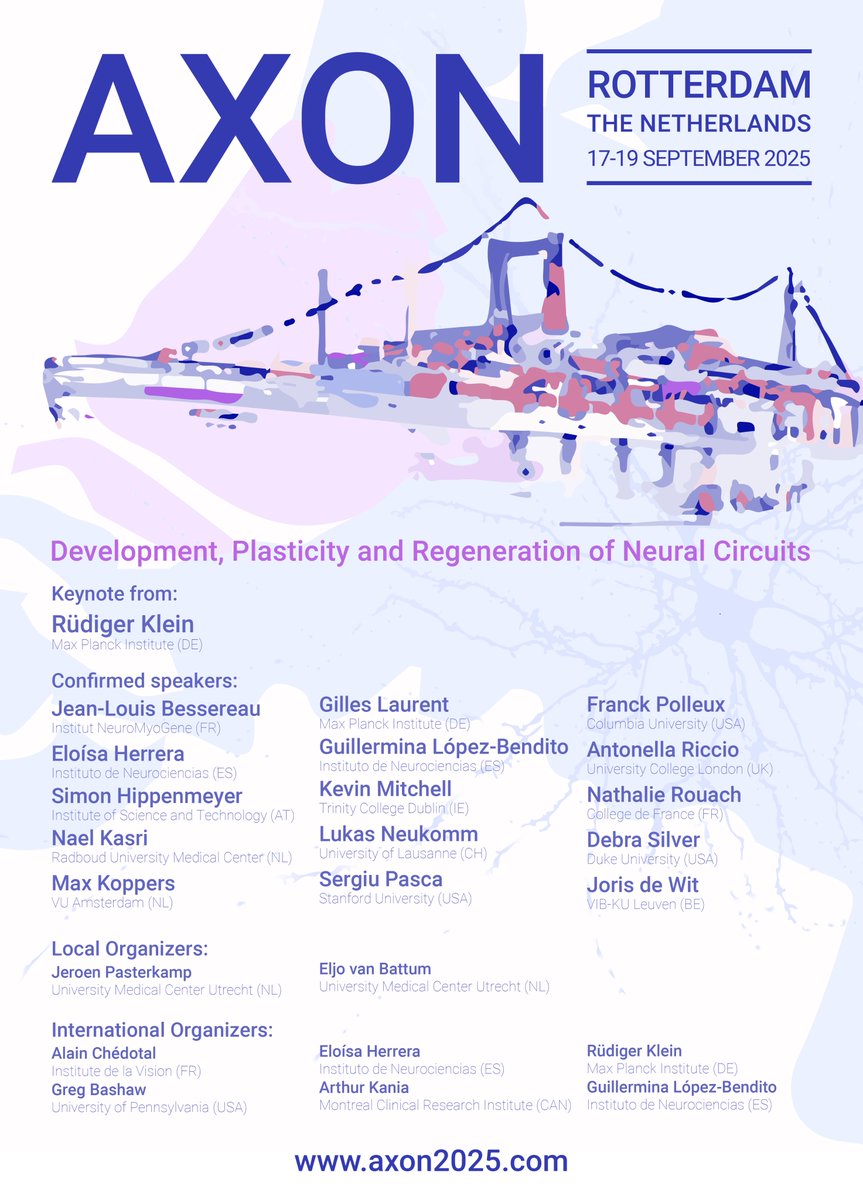 AXON2025 is gearing up! If you're passionate about neural circuit development, this is the must-attend event of next year — set in an extraordinary, non-conventional location🚢that you won’t want to miss! #AXON2025 @JeroenPasterk