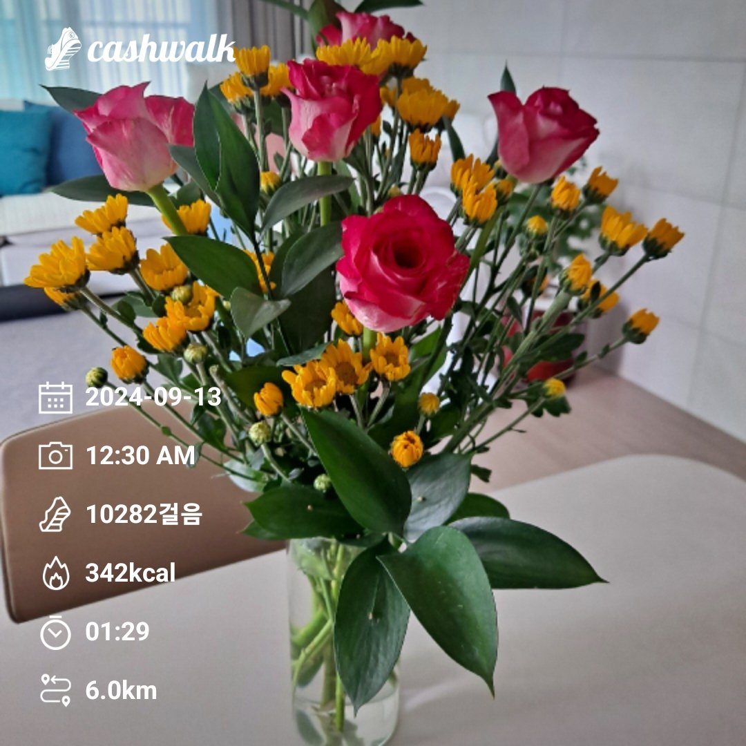 seethrough1b's tweet image. #bugcity
#bugpoly
#gm
@Bug4city
2024년  10,000보