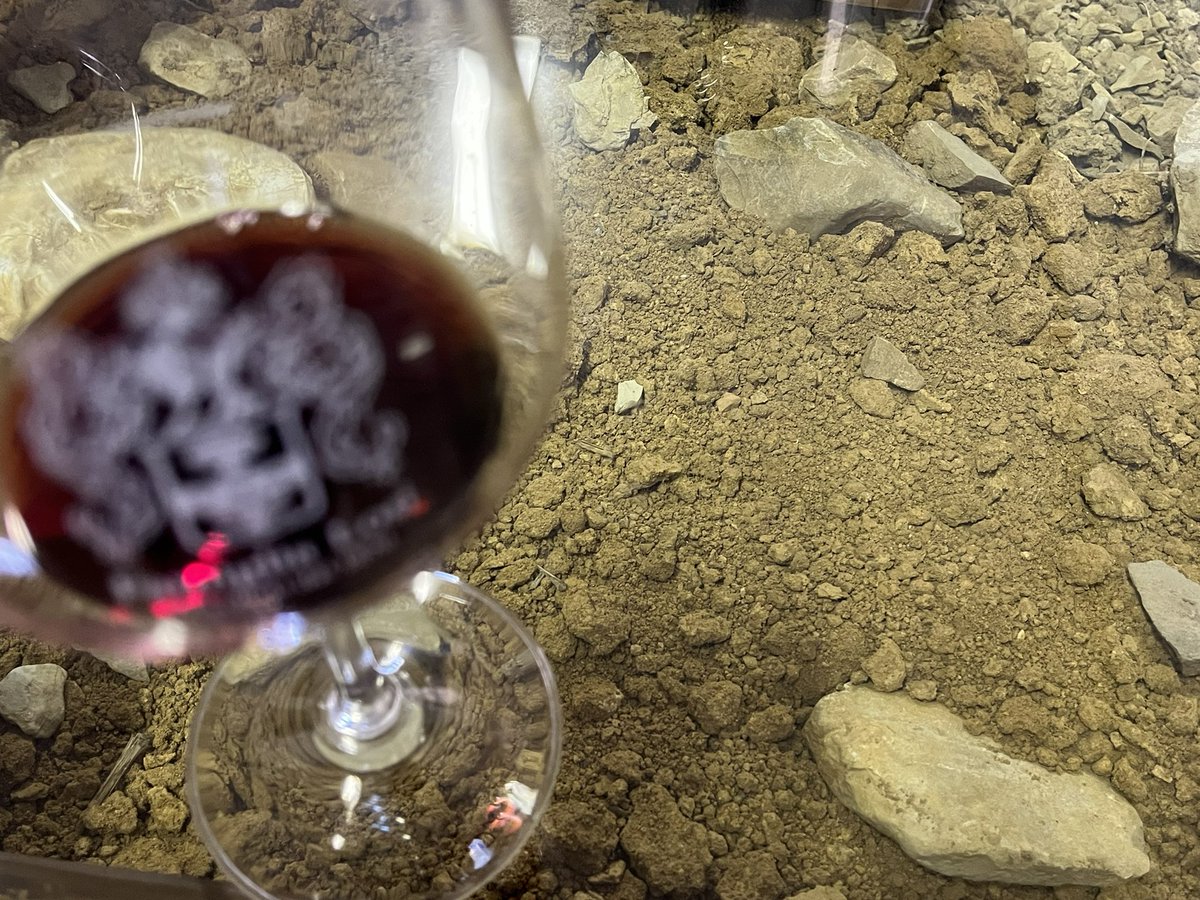 JohnMFodera's tweet image. Tasting at Querciavalle.   Wine on dirt. These are lovely family made wines. #Tuscanvines