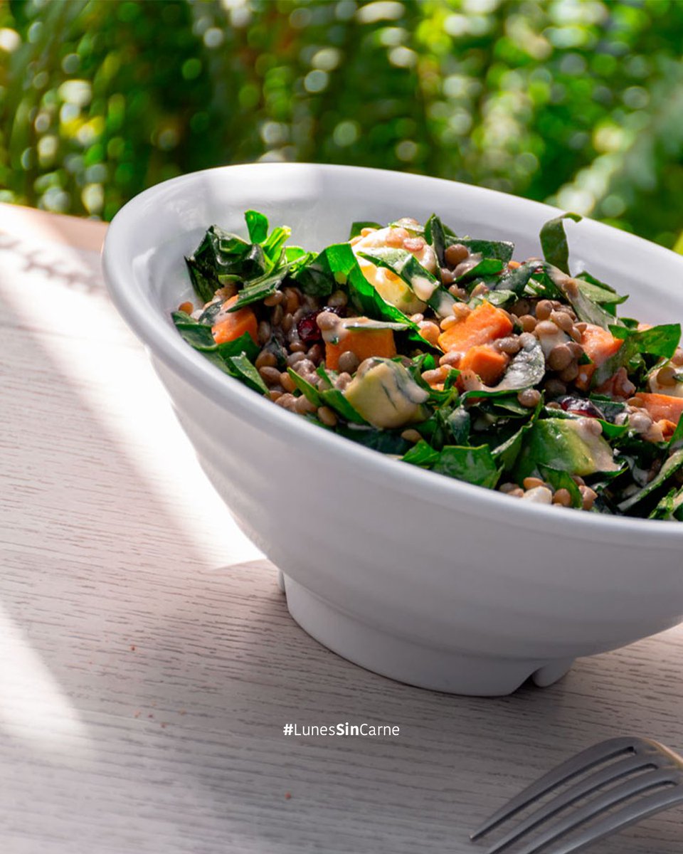 ¿Sabías que la lenteja es una legumbre que tiene alta cantidad de proteínas y puede suplantar fácilmente al pollo o a la carne?