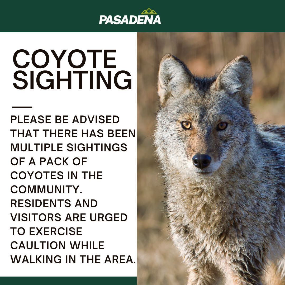 We’ve had several reports of a pack of coyotes roaming around town recently. Please be aware and take the necessary precautions.

If you see any coyotes or have concerns, don't hesitate to contact local authorities.