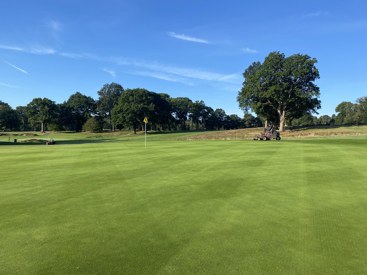 plestee's tweet image. Big step back to our normal conditions on the course this week @StonehamGC following the maintenance weeks works. What a team we have 💪🏻 also big thanks to @Reelsharpltd and @DJScottGM for getting our kit sorted!