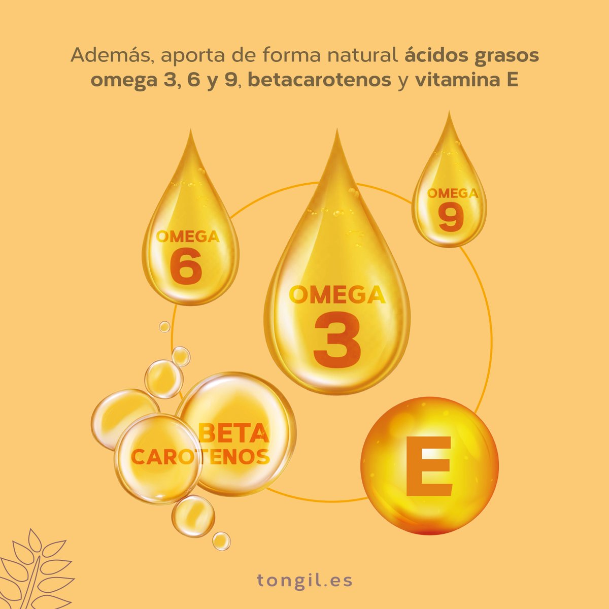 LAB_TONGIL's tweet photo. ¿Sabías que el espino amarillo (Hippophae rhamnoides) originario del Tíbet, que representa la fuente más concentrada de omega 7 de la naturaleza?
Además, aporta de forma natural ácidos grasos omega 3, 6 y 9, betacarotenos y vitamina E.
#omega7 #tongiltecuida #summer #skincare https://t.co/uwjSU8TM82