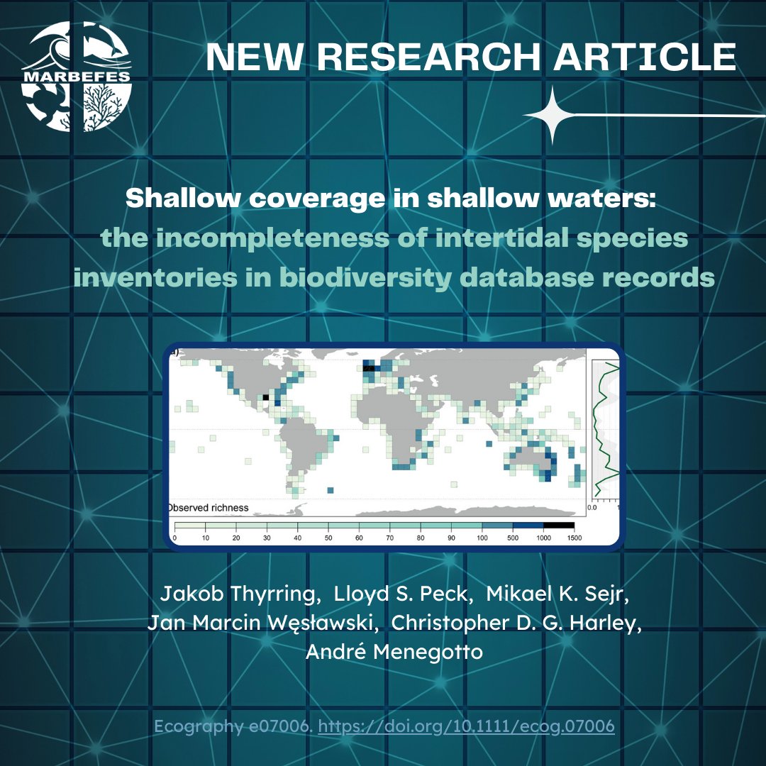 MARBEFES (@marbefes) on Twitter photo Check out this latest study by Thyrring et al. (2024) in Ecography!
The study investigated species diversity and environmental interactions through a global perspective in relation to distribution.
nsojournals.onlinelibrary.wiley.com/doi/10.1111/ec…
#MarineBiology #OceanScience #biodiversity #HorizonEU Check out this latest study by Thyrring et al. (2024) in Ecography!
The study investigated species diversity and environmental interactions through a global perspective in relation to distribution.
nsojournals.onlinelibrary.wiley.com/doi/10.1111/ec…
#MarineBiology #OceanScience #biodiversity #HorizonEU