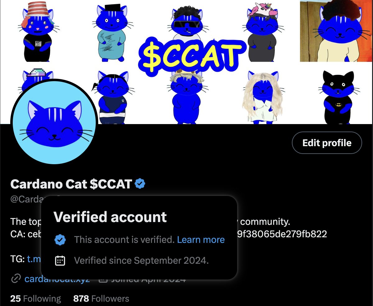 Cardano Cat $CCAT tweet media