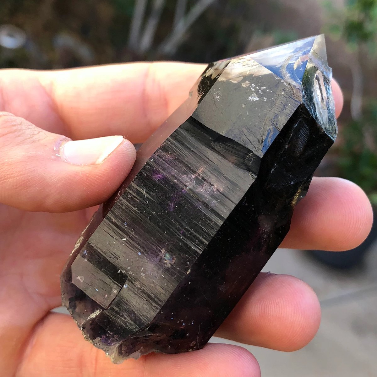 exoticcrystals's tweet image. 🌌Extremely Dark Amethyst Crystal from Brandberg Mountains, Namibia⚜️ #brandberg #amethyst #minerals #crystals