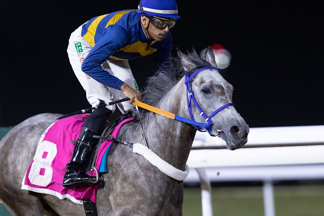 horsesgate's tweet photo. اتش ام شهيقة تحقق مكسبها في ميدان الملك خالد - مسافة 2000 متر - خلال 2:33:96 دقيقتين و ثلاثة وثلاثون ثانية وستة وتسعون جزء من الثانية
#سباقات_الطائف

ملك #مربط_أجمل #ajmalstud https://t.co/HlmRwXzCH6