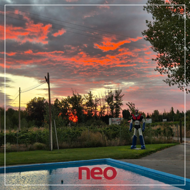 BodegasNEO's tweet photo. En ocasiones, Bodegas Neo parece estar en Hawkins formando parte del universo de Stranger Things.
#BodegasNeo #RiberaDelDuero #Vino https://t.co/H6uPMkNEBA