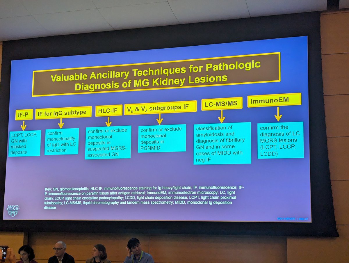Pathology - Dr. Samih Nasr: 

➡️ Unmasking with paraffin stain is important for ruling out monotypic fibrillary GN, MN and IgAN which are mostly polyclonal
➡️ importance of IgG subtyping in MGRS
➡️ uses of ancillary techniques in Onco-Neph Dx

#MSKOncoNephCME <a href="/onconephsociety/">American Society of Onconephrology</a>