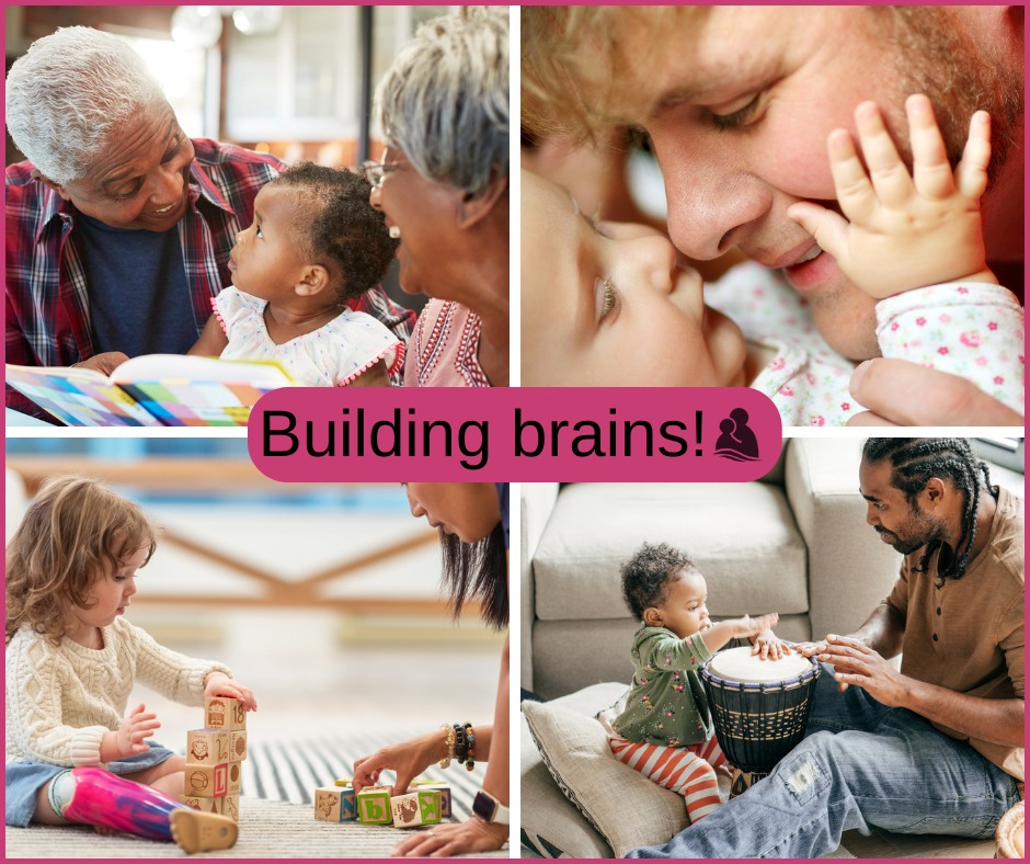 haltonparents's tweet image. DYK over 1 million neural connections are made EVERY second in the first few years of life?!

Watch this short video showing how everyday interactions are building your child’s brain in 5 simple steps: youtu.be/KNrnZag17Ek 
@HarvardCenter #ServeAndReturn ^jdb