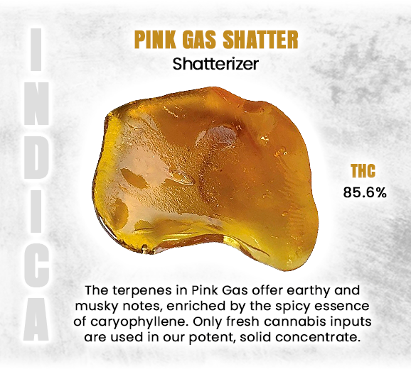 Social_GrandCan's tweet photo. *Informational Purposes*
#PinkGasShatter #ShatterLife #CannabisConcentrates #PinkGas #DankShatter #ConcentrateCulture #CannabisCommunity #ShatterLovers #HighPotency #WeedLife #CannabisExtracts #DabLife #PremiumShatter #CannabisCulture #TerpeneRich #grandcannabis https://t.co/ufwpawuadp