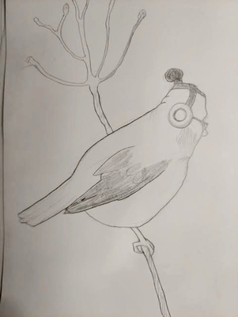 özgürlüğe uçan her kuş yalnızdır...
#JahreinYalnızdır