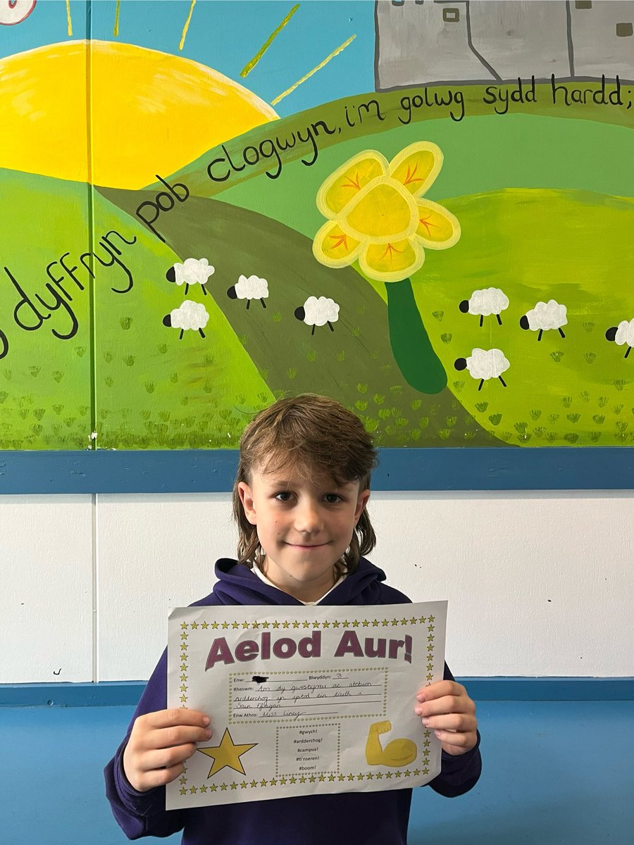 Aelod Aur yr wythnos ⭐️🤩