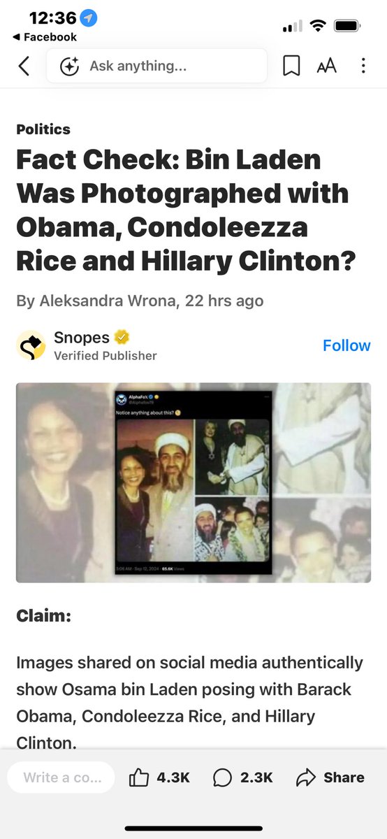 John Khouri (@johnkhouri32) on Twitter photo 