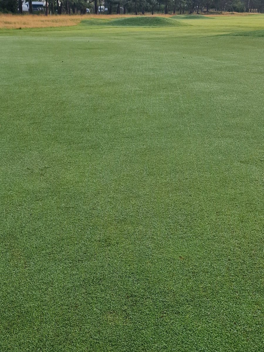 Love to see the benefits of an overseed paying off so quickly even with recent temps being so up and down! Dynaseeded 11 days ago love those units <a href="/GreenTekGroup/">GreenTek</a> 👌🔥
