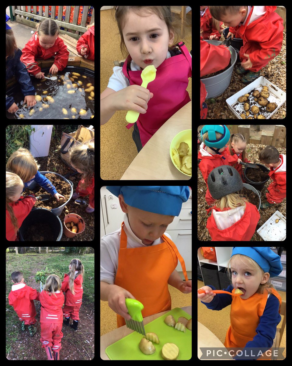 Dewstow Primary School (@dewstowprimary) on Twitter photo #Nursery were thrilled to discover our potatoes had grown over the summer holiday. We harvested them, washed them, cut them, cooked them and definitely enjoyed eating them. 😋<a href="/EAS_EarlyYears/">EAS Early Years</a> <a href="/WalesCouncil4OL/">Wales Council for Outdoor Learning</a> <a href="/willmc21/">Will McLean</a> <a href="/EAS_Equity/">EAS Health, Wellbeing & Equity</a> #Nursery were thrilled to discover our potatoes had grown over the summer holiday. We harvested them, washed them, cut them, cooked them and definitely enjoyed eating them. 😋<a href="/EAS_EarlyYears/">EAS Early Years</a> <a href="/WalesCouncil4OL/">Wales Council for Outdoor Learning</a> <a href="/willmc21/">Will McLean</a> <a href="/EAS_Equity/">EAS Health, Wellbeing & Equity</a>