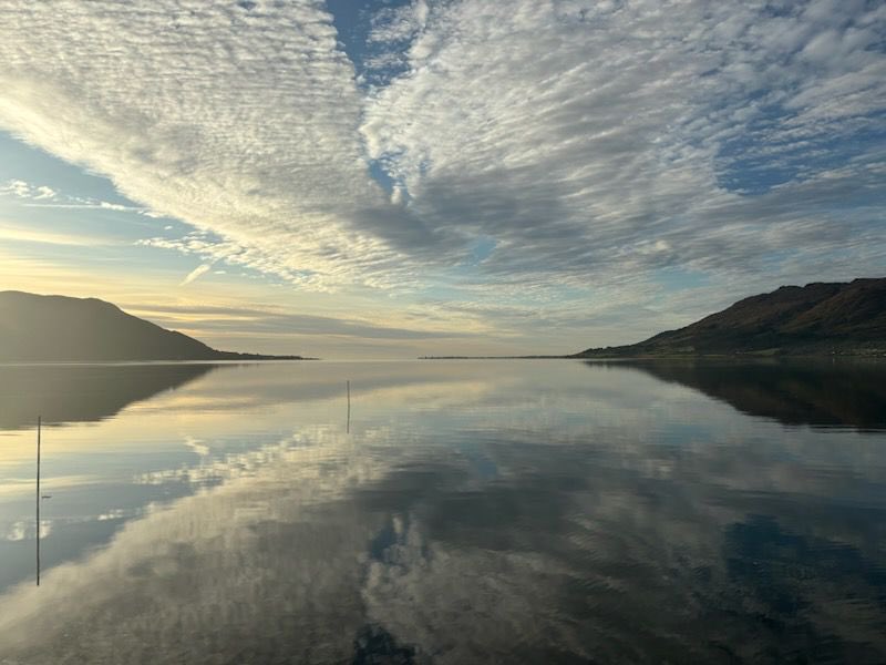 Can’t beat my view in the morning.