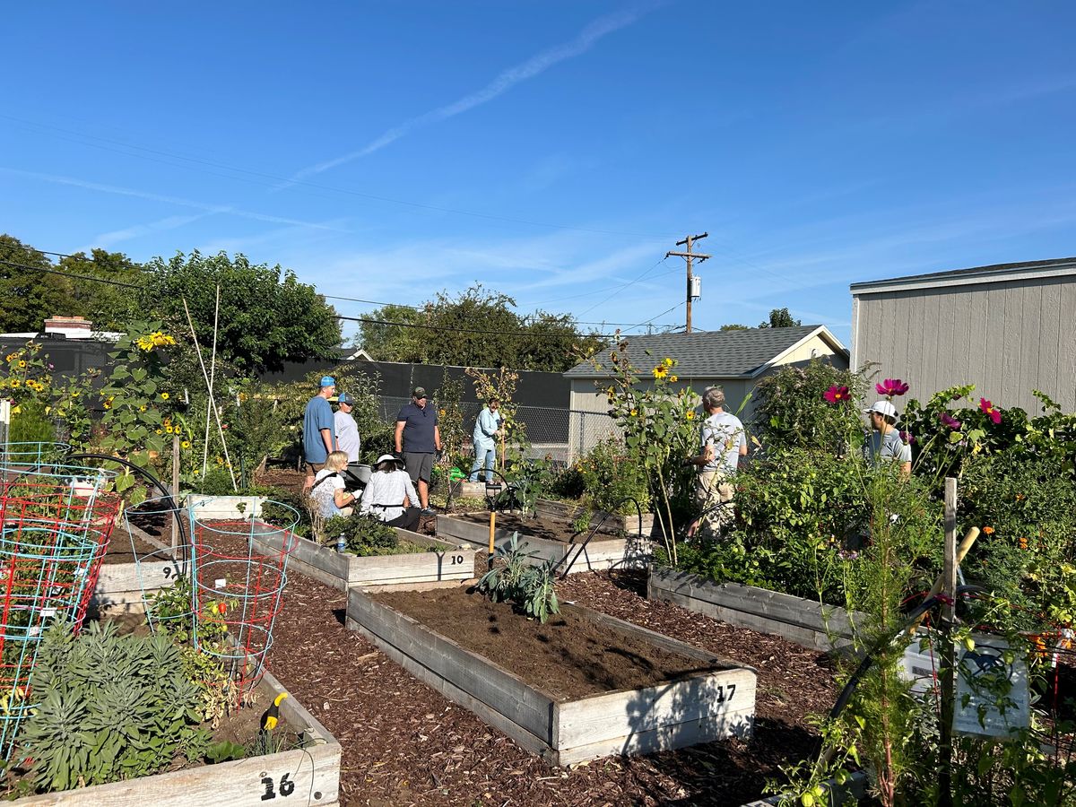 Glendale - Mountain View Community Learning Center has received outstanding support from My Hometown. Thanks to these wonderful volunteers the Back to School Carnival and Garden Clean Up were a success. We are very thankful for these volunteers and their amazing efforts.