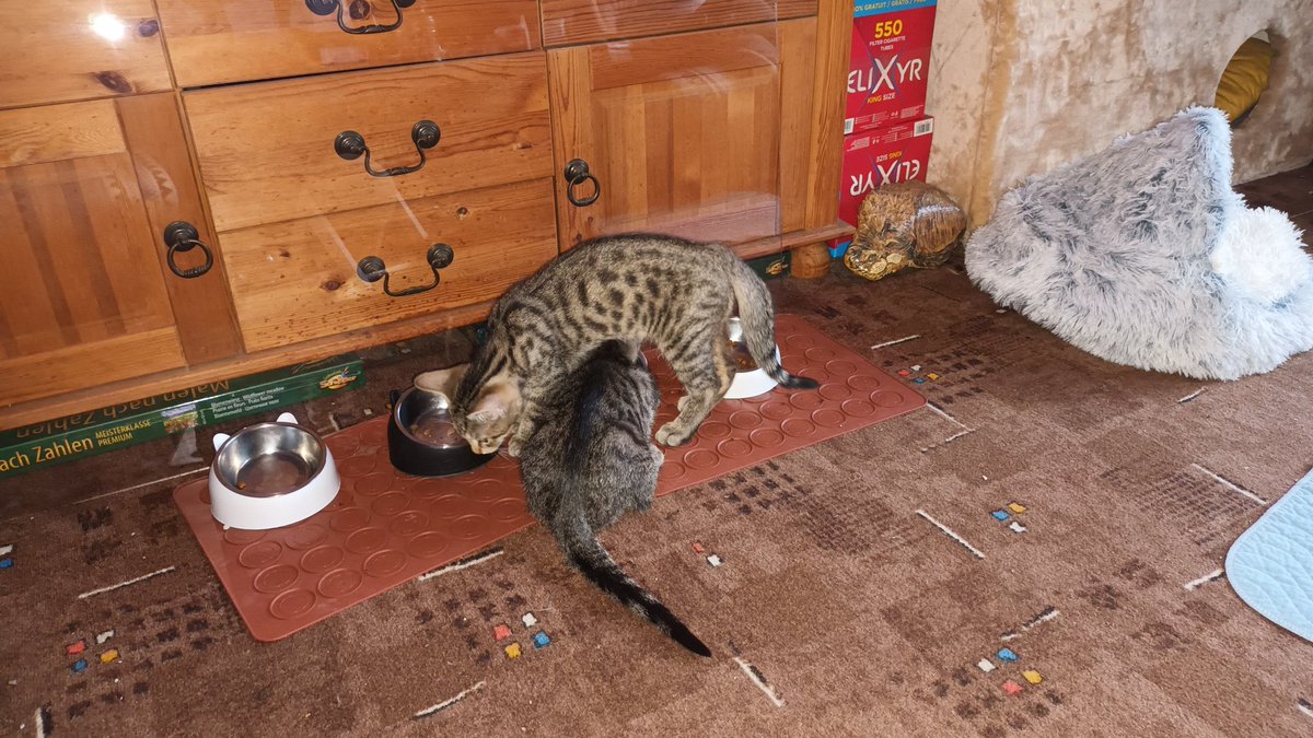 Da kriegt die Bezeichnung "Crossover Küche" eine ganz neue Bedeutung.