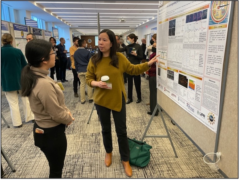 Check out our story about EMBRIO members Bakary Samasa, Sharon Minsuk, and Weiwei Zhang on their collaborative research and top scientific figures, simulations, and live cell videos! purdue.edu/research/embri…