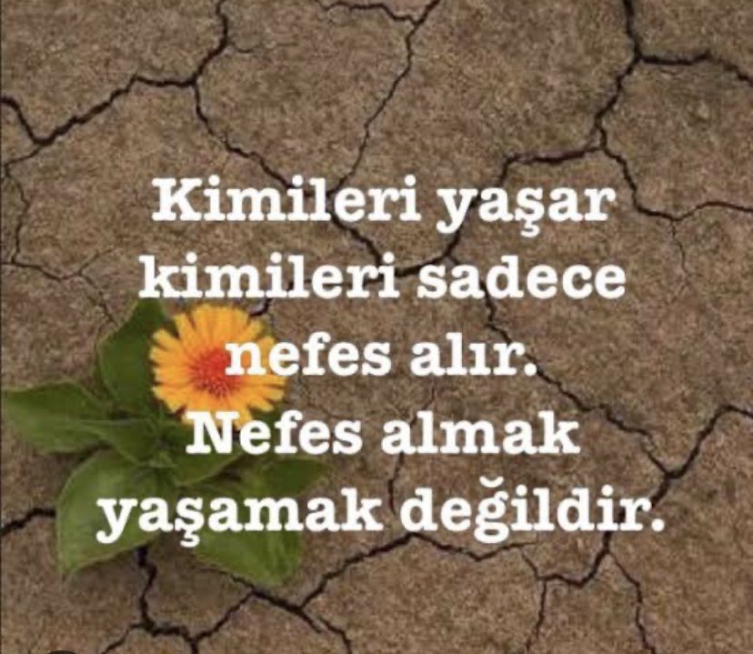 Duygu (@duygugnlll) on Twitter photo 