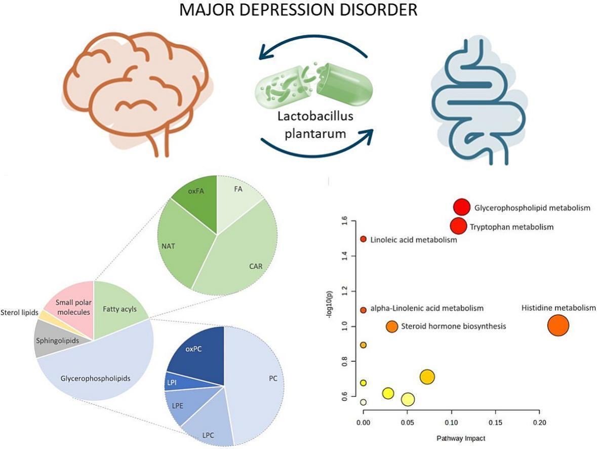 Adding #probiotic Lactobacillus plantarum 299v to an SSRI may augment antidepressant effects, reflected by specific changes in the metabolome. 

#MedTwitter #microbiome #probiotics 

sciencedirect.com/science/articl…