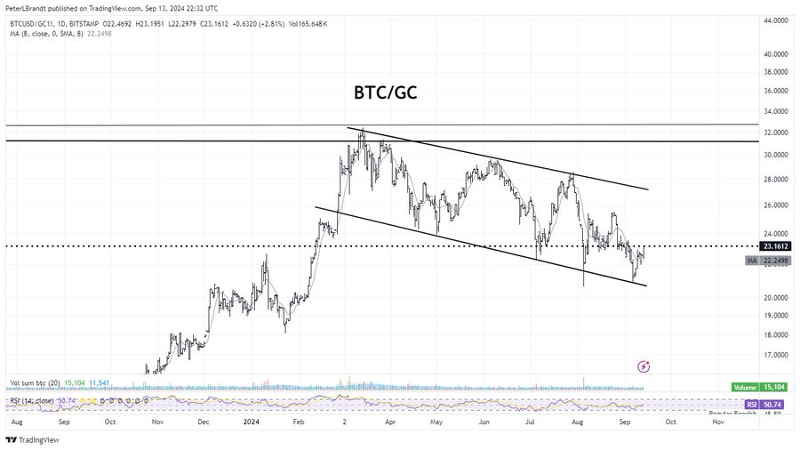 Bitcoin to Gold Ratio Peter Brandt
