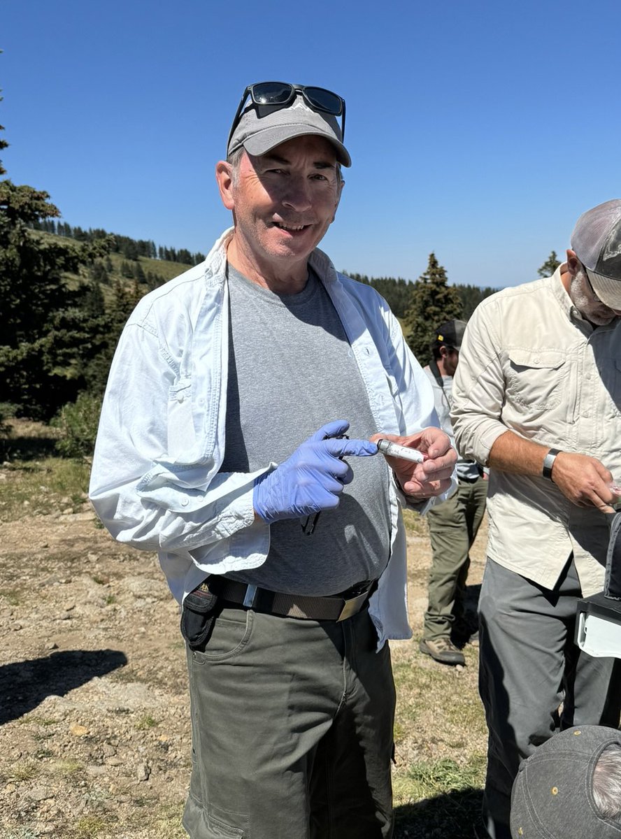 JenniferKFrey's tweet image. Was thrilled to share what we’ve learned about one of the rarest mammals in North America, the Peñasco Least Chipmunk, to biologists from @USFWS @LincolnUSForest and Mescalero Apache Tribe. Secured 2 biopsy samples for FWS Biobanking Project @sandiegozoo