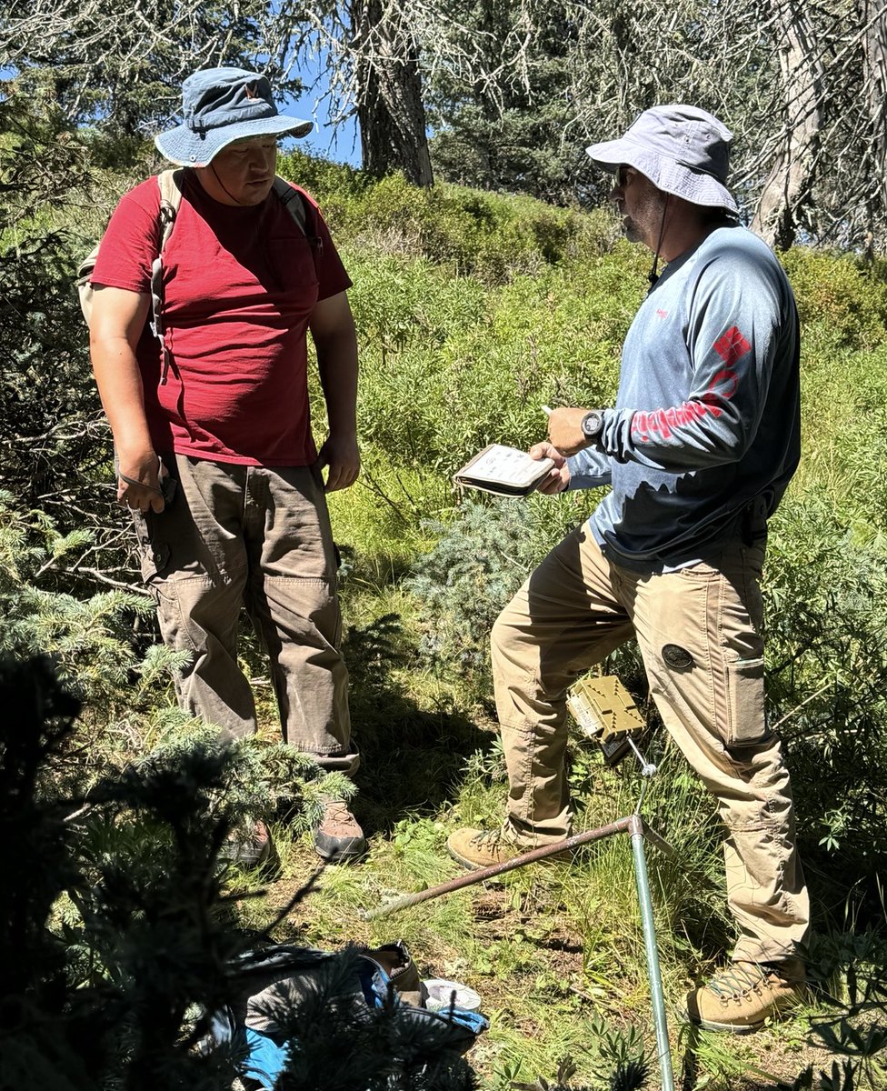 JenniferKFrey's tweet image. Was thrilled to share what we’ve learned about one of the rarest mammals in North America, the Peñasco Least Chipmunk, to biologists from @USFWS @LincolnUSForest and Mescalero Apache Tribe. Secured 2 biopsy samples for FWS Biobanking Project @sandiegozoo