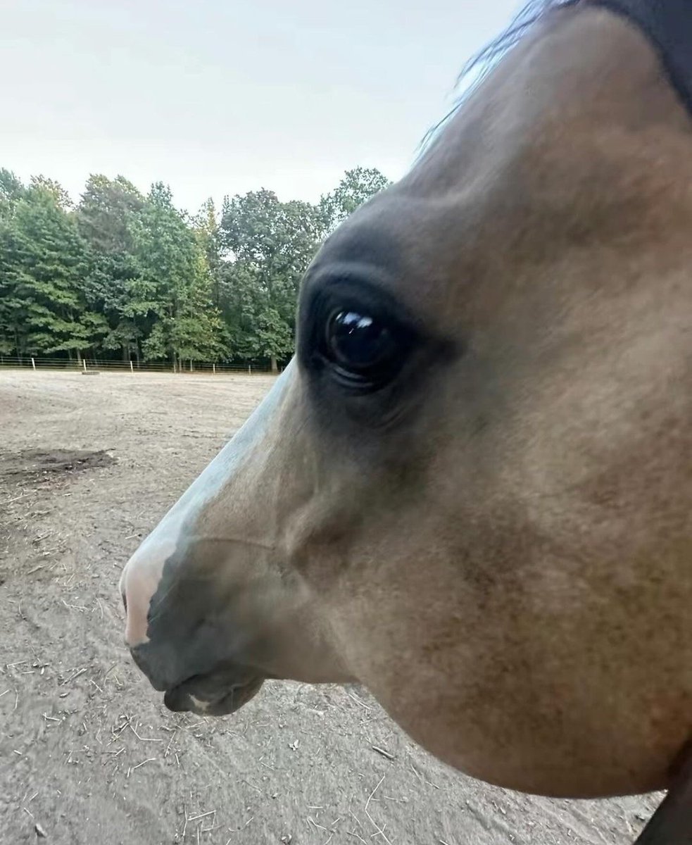 Yarım kilo jelibonu sinema da gömünce hissettiğim